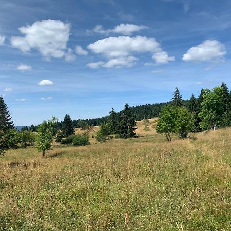 Ubytovani U Mateje Horni Blatna Bagian luar foto