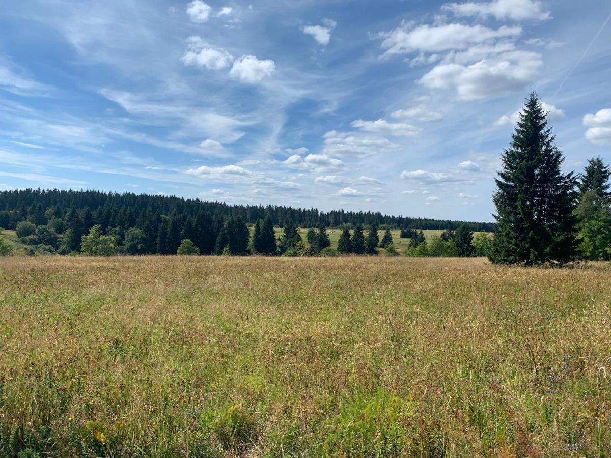 Ubytovani U Mateje Horni Blatna Bagian luar foto
