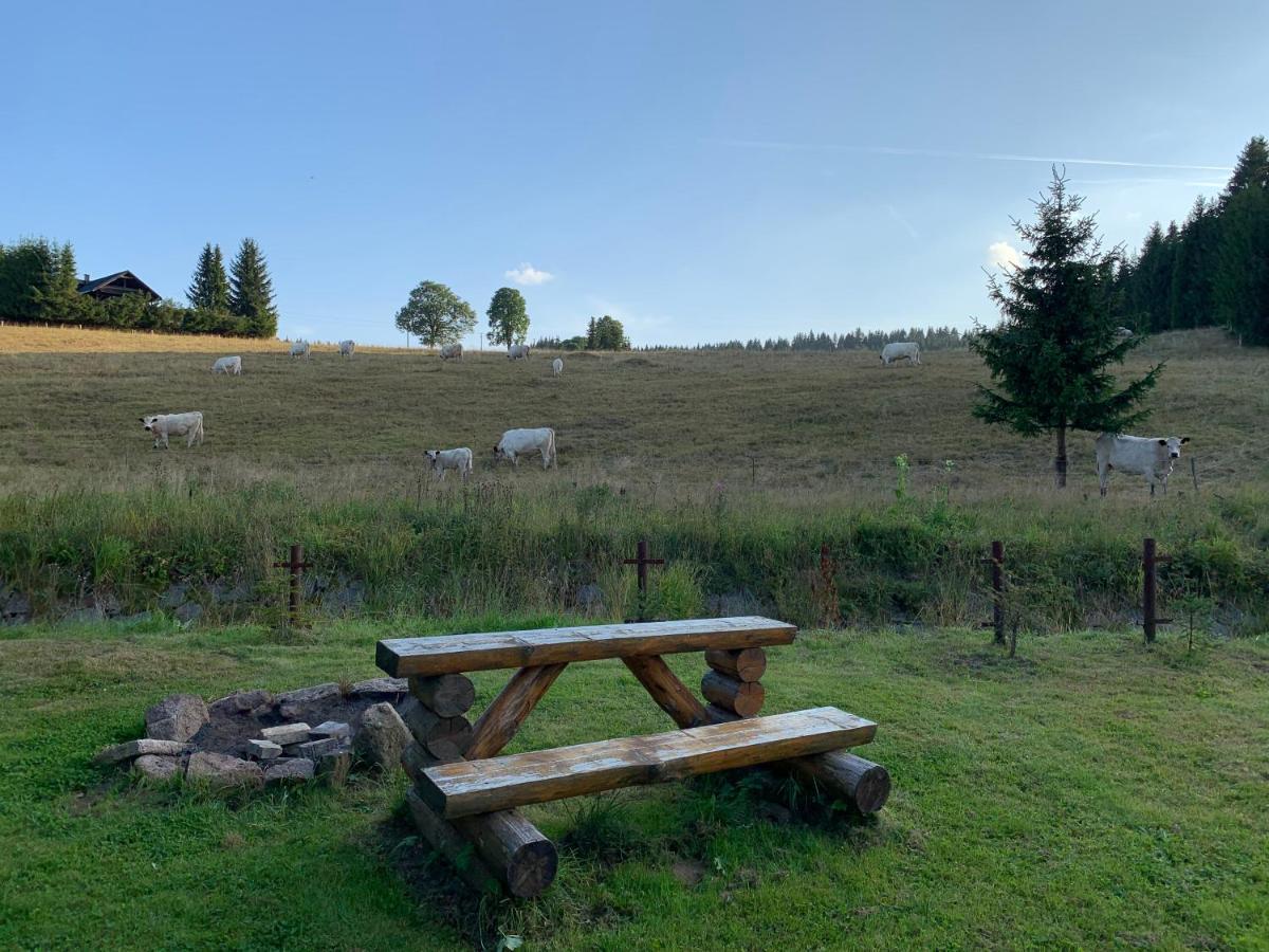 Ubytovani U Mateje Horni Blatna Bagian luar foto